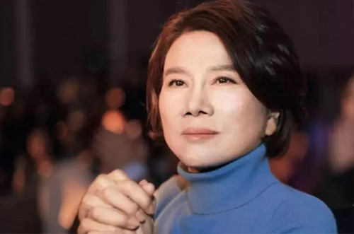 董老板500億財力準(zhǔn)備，助力芯片行業(yè)發(fā)展